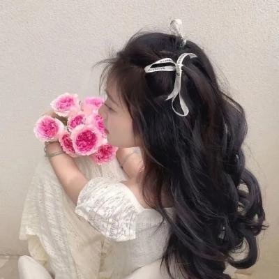 尘兔海报